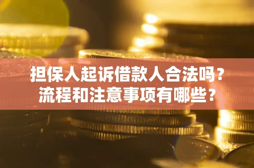 武汉担保人起诉借款人合法吗？流程和注意事项有哪些？