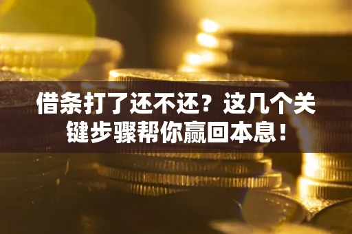 武汉借条打了还不还？这几个关键步骤帮你赢回本息！