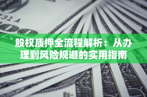 武汉股权质押全流程解析：从办理到风险规避的实用指南