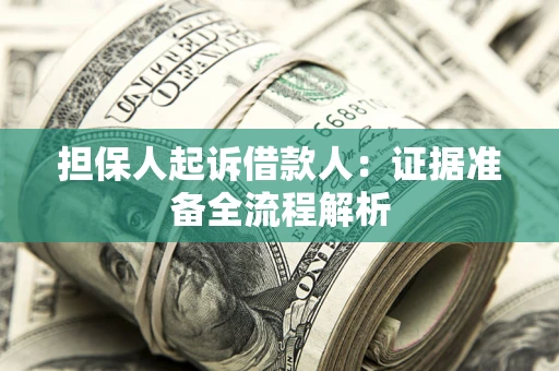 武汉担保人起诉借款人：证据准备全流程解析