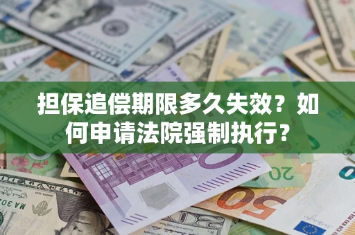 武汉担保追偿期限多久失效？如何申请法院强制执行？