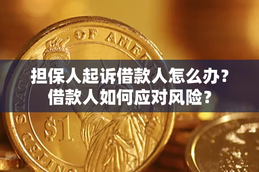 武汉担保人起诉借款人怎么办？借款人如何应对风险？