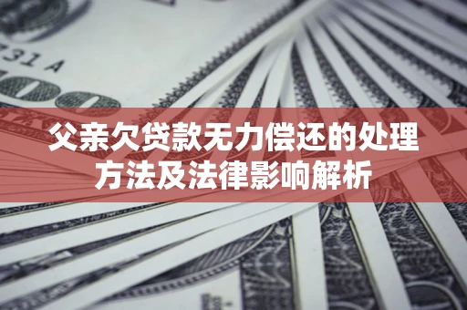武汉父亲欠贷款无力偿还的处理方法及法律影响解析