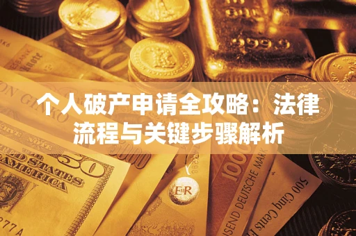 武汉个人破产申请全攻略：法律流程与关键步骤解析