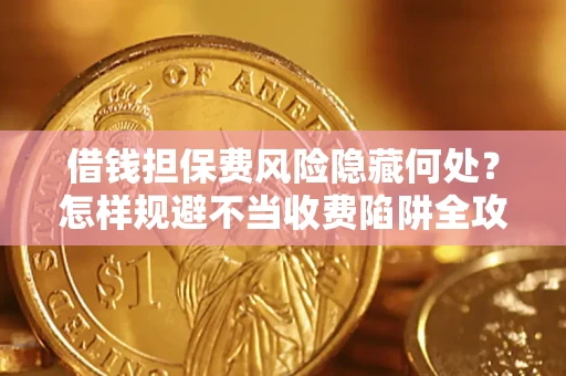 武汉借钱担保费风险隐藏何处？怎样规避不当收费陷阱全攻略！