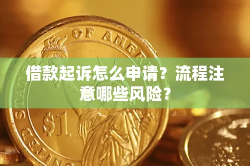 武汉借款起诉怎么申请？流程注意哪些风险？