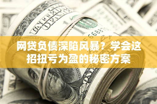 武汉网贷负债深陷风暴？学会这招扭亏为盈的秘密方案